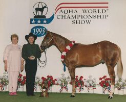 Alls In Order-1993 Amateur WEanling Gelding.jpg